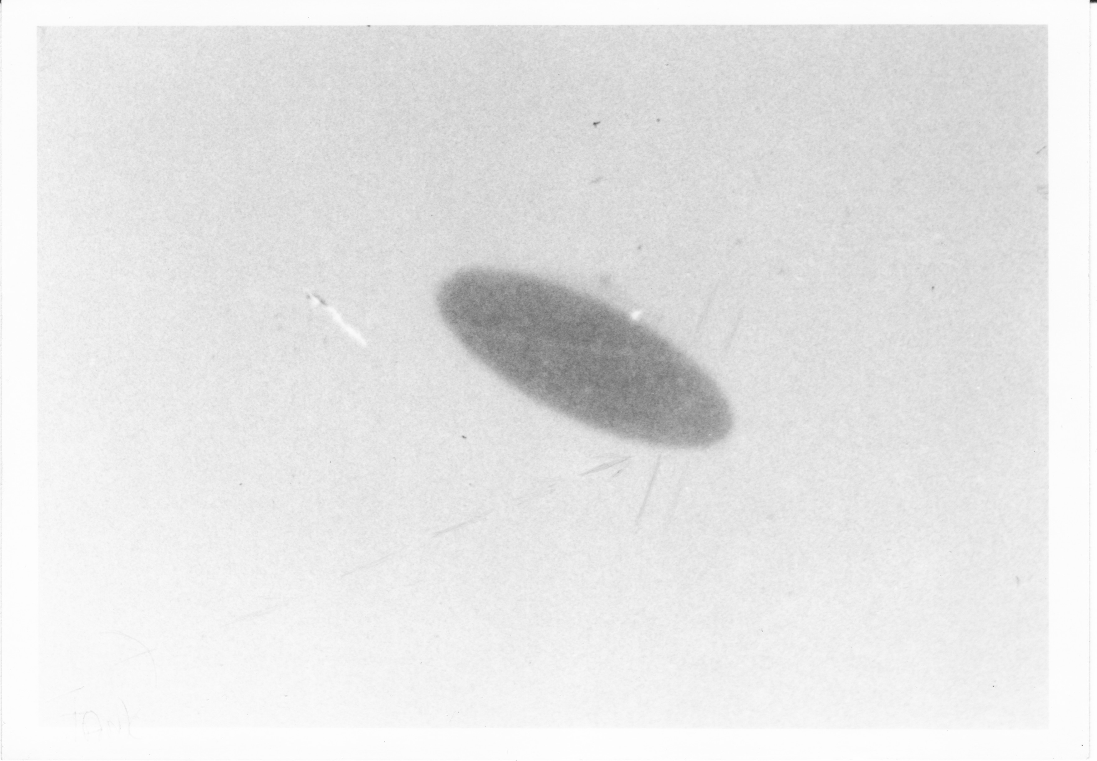 Trent UFO Close-Up